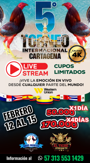 FlyersTorneoInternacionalCartagena3