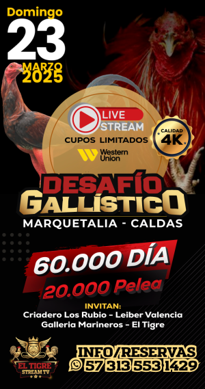 LiveStreamingDesafioGallistico
