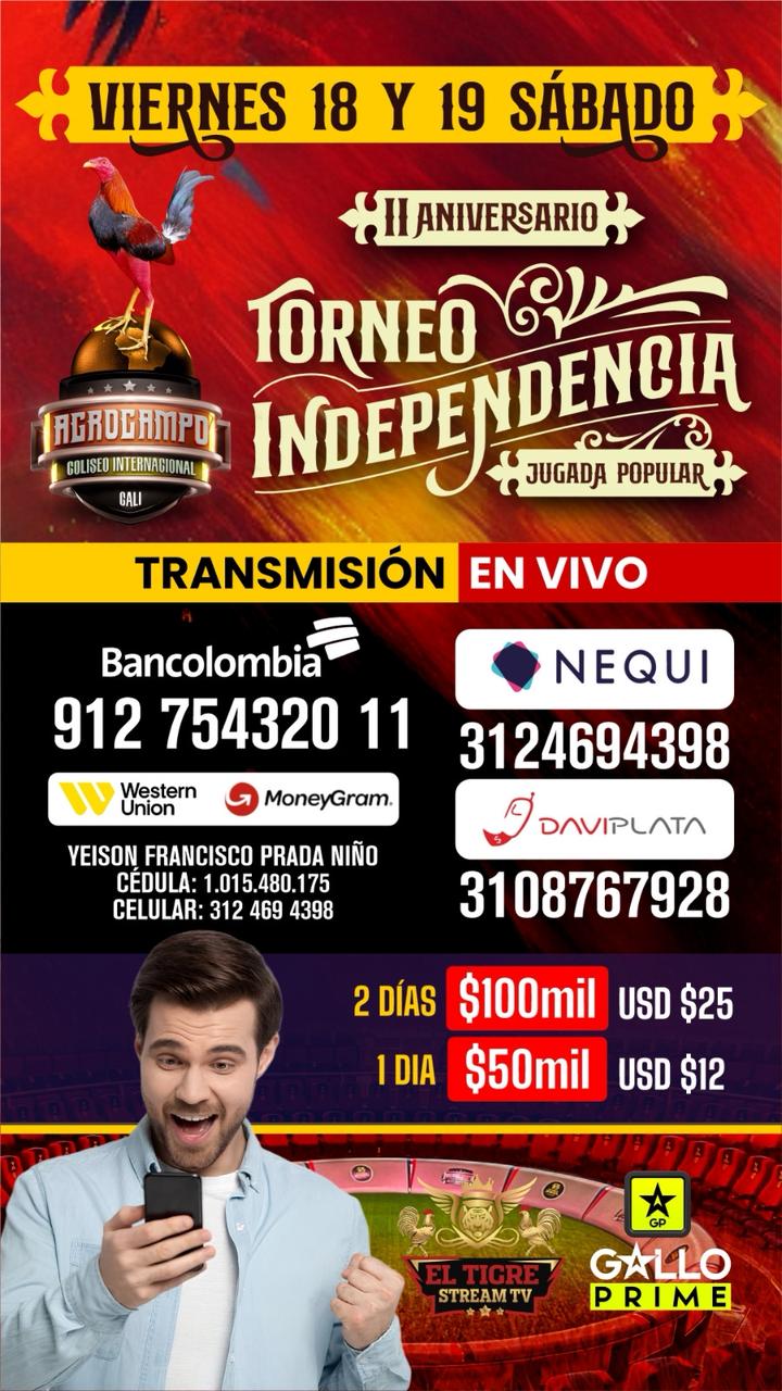Torneo Independencia El Tigre Stream TV